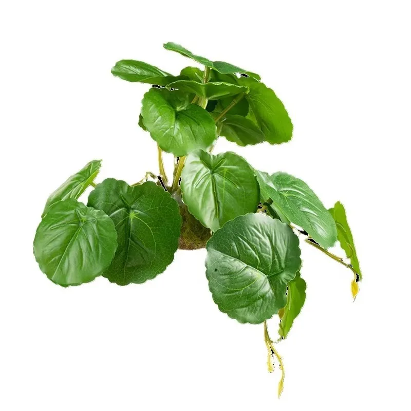 10pcs Simulation Aquatic Grass Fish tank Plant Landscaping Reptile Box Landscaping Plant Decoration Aquarium Accessories
10pcs Simulation Aquatic Grass Fish tank Plant Landscaping Reptile Box Landscaping Plant Decoration Aquarium Accessories