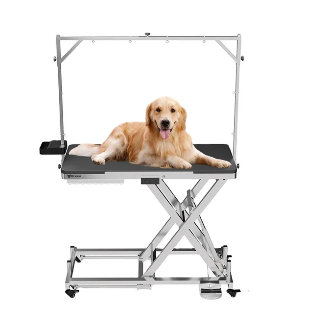 Good Quality Adjustable Simple Animal Shearing Table Foldable Electric Pet Grooming Table
Good Quality Adjustable Simple Animal Shearing Table Foldable Electric Pet Grooming Table