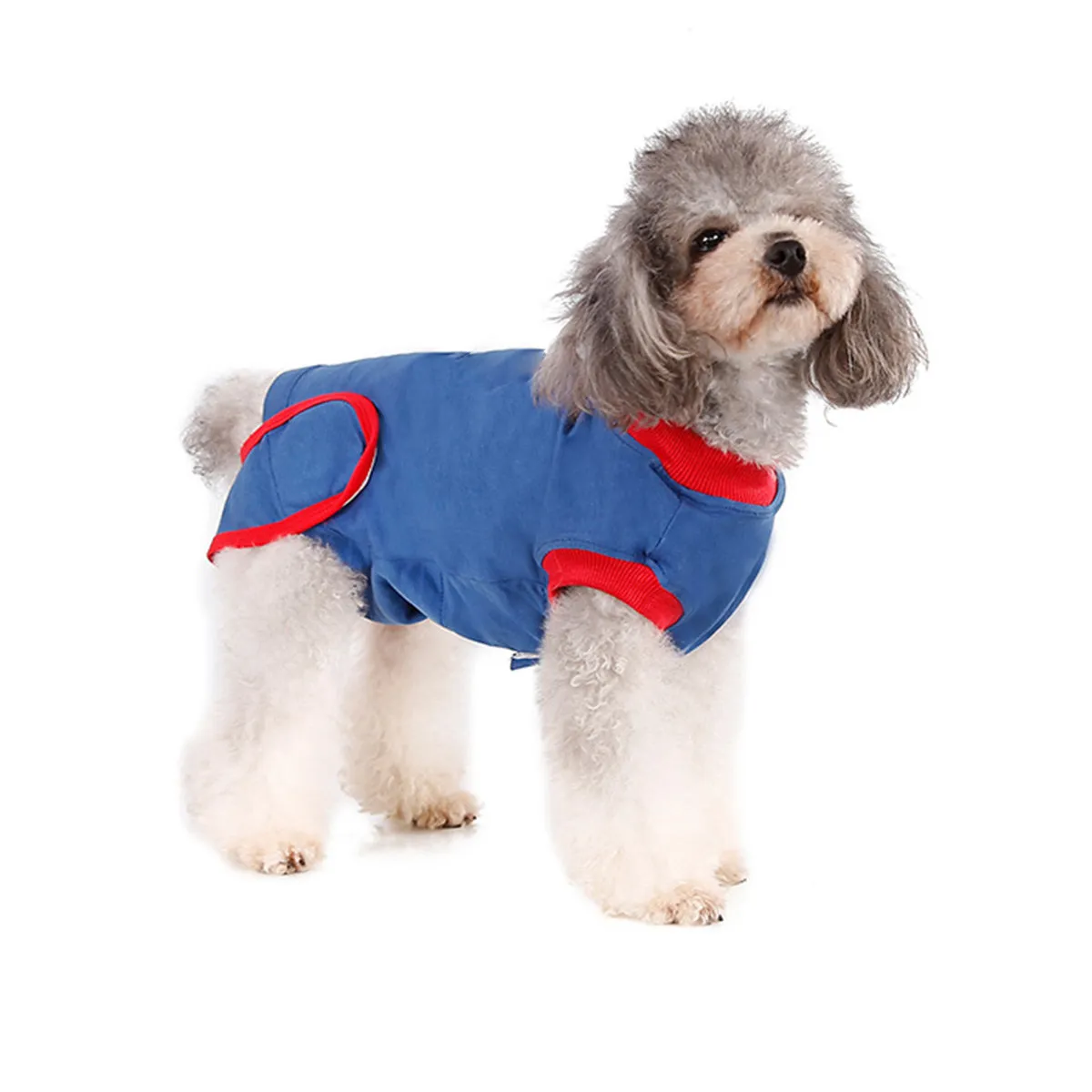 Pet Dog Recovery Clothing Cotton Soft Protective Surgery Recovery Costume Sterilization Clothes Pet Supplies Size M Anti-Lick
Pet Dog Recovery Clothing Cotton Soft Protective Surgery Recovery Costume Sterilization Clothes Pet Supplies Size M Anti-Lick