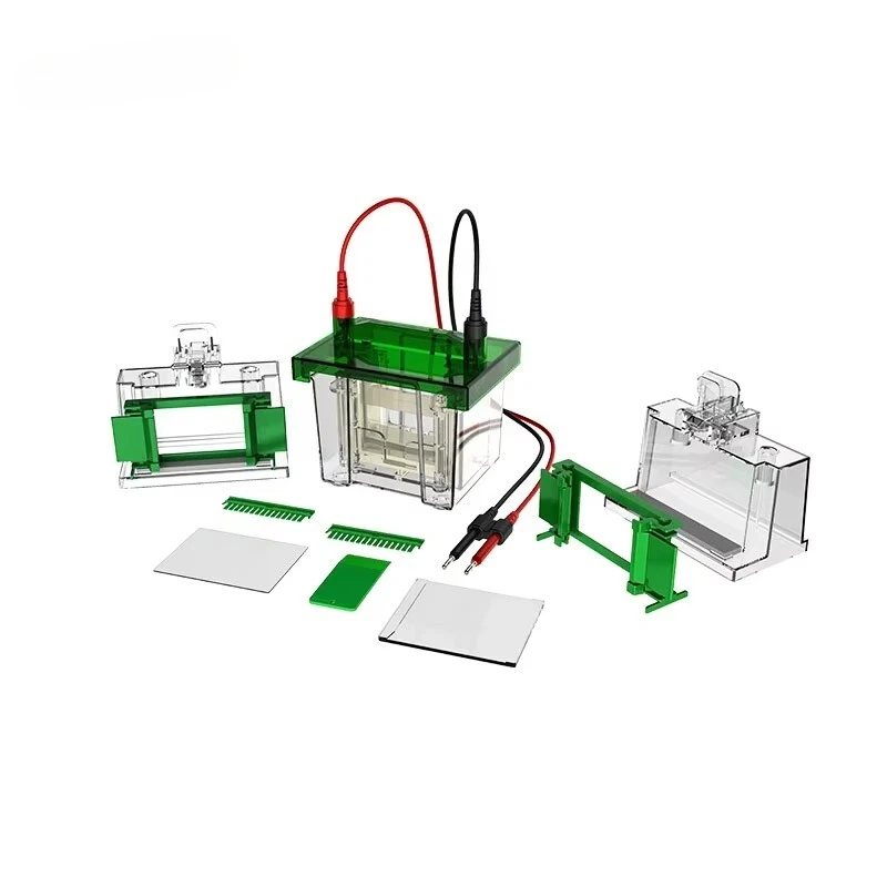 Nucleic Acid Vertical Electrophoresis Tank Molecular Laboratory Instruments for Life Science Research
Nucleic Acid Vertical Electrophoresis Tank Molecular Laboratory Instruments for Life Science Research