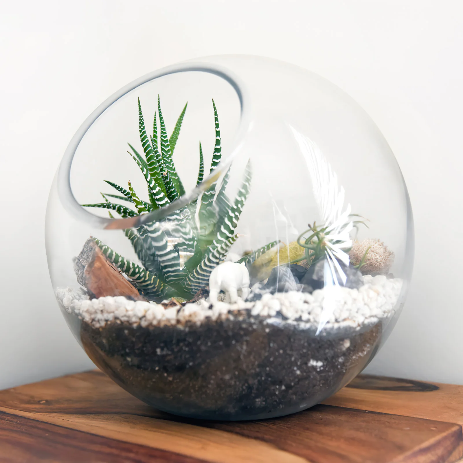 3 Pcs Plant Pots Indoor Hydroponics Air Plants Vase Terrarium Transparent Glass Bowl Office
3 Pcs Plant Pots Indoor Hydroponics Air Plants Vase Terrarium Transparent Glass Bowl Office