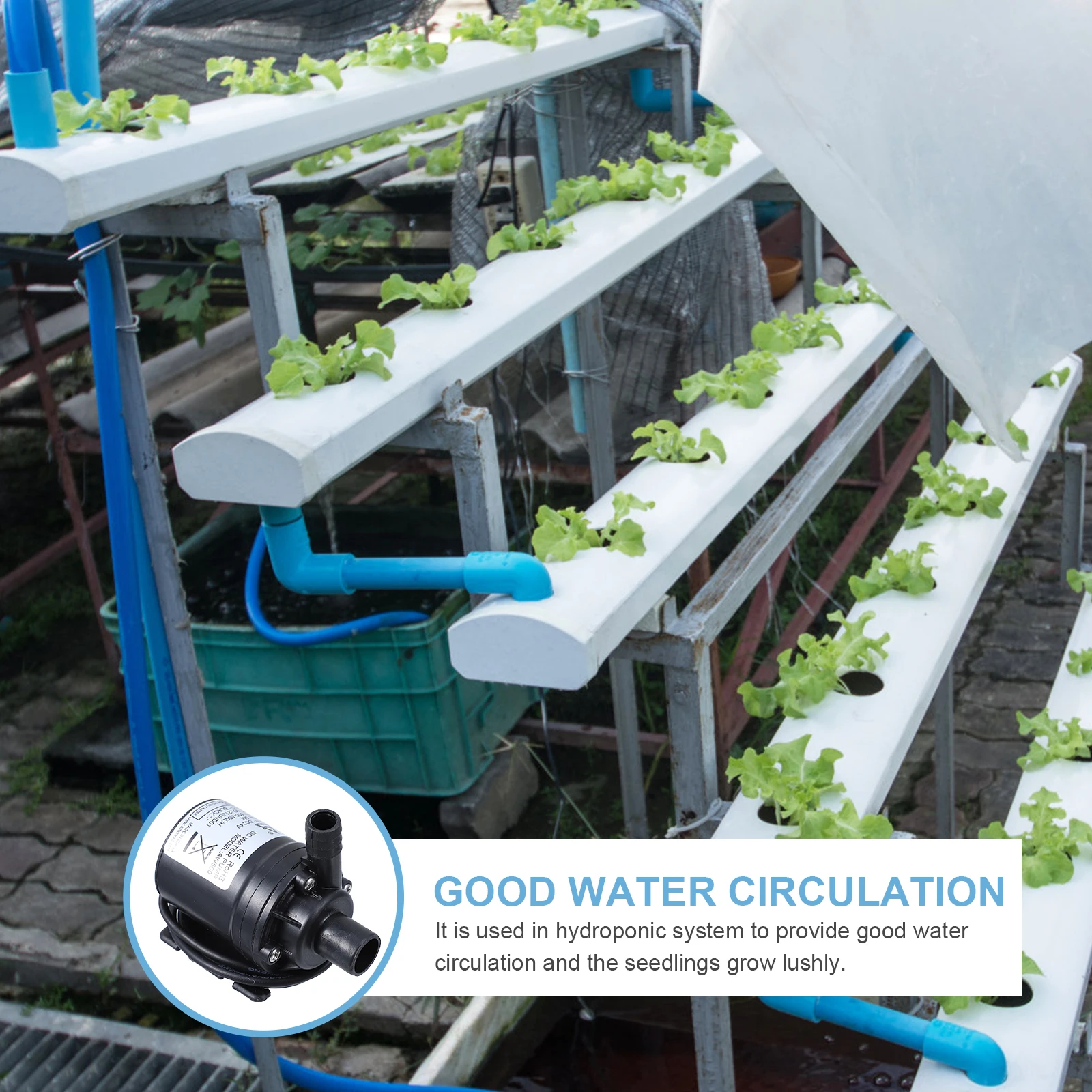 Miniature Silent Water Pump 12V Dc Circulating Booster For Hydroponic Systems Dishwasher Submersible Garden
Miniature Silent Water Pump 12V Dc Circulating Booster For Hydroponic Systems Dishwasher Submersible Garden
