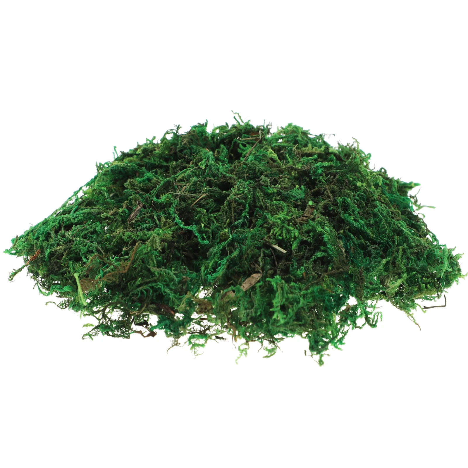 Simulated Decoration Artificial for Crafts Terrarium Decor Fake for Plants Decorative Gathering Mini Landscaping
Simulated Decoration Artificial for Crafts Terrarium Decor Fake for Plants Decorative Gathering Mini Landscaping