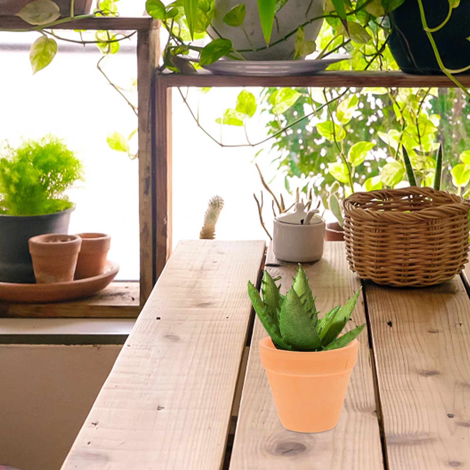 12 Pcs Succulent Pot Clay Garden Planter Plants Flower Pots with Drainage Hole Mini Universal Herb
12 Pcs Succulent Pot Clay Garden Planter Plants Flower Pots with Drainage Hole Mini Universal Herb