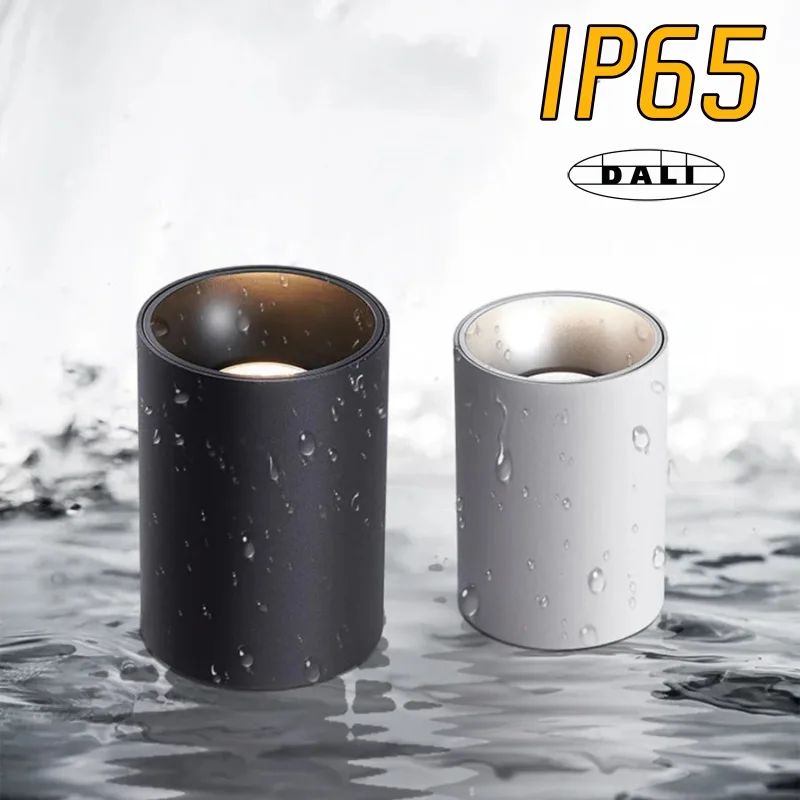IP65 DALI Dimmable DT6 DT8 Ceiling type Anti-glare COB spotlights LED Downlight 7W AC220V Suitable for Bathroom balcony kitchen
IP65 DALI Dimmable DT6 DT8 Ceiling type Anti-glare COB spotlights LED Downlight 7W AC220V Suitable for Bathroom balcony kitchen