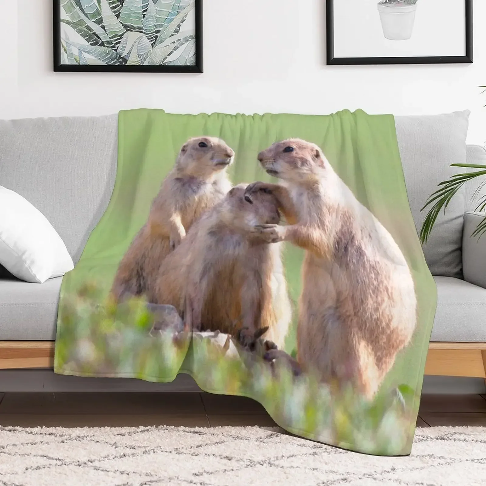 Watercolor Prarie Dog 08, Boulder County, Colorado, Good Job Throw Blanket Bed linens for winter Blankets
Watercolor Prarie Dog 08, Boulder County, Colorado, Good Job Throw Blanket Bed linens for winter Blankets