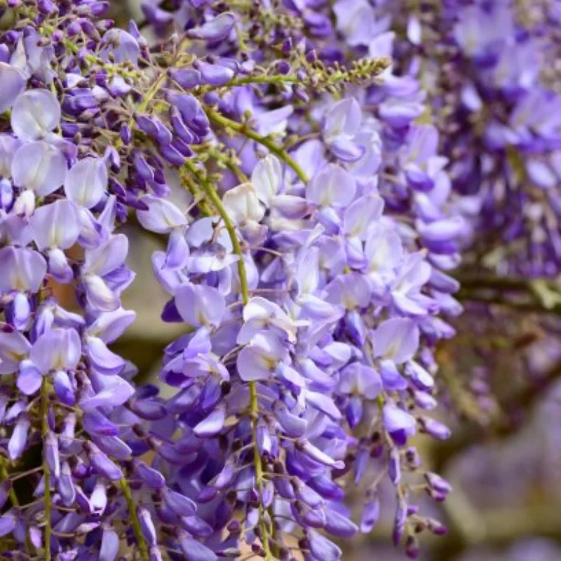 4 шт. 1,9-металлические колесные диски с отрицательным смещением для 1/10 RC Crawler — совместимы с осевым SCX10 TRX4 D90 и более
4 шт. 1,9-металлические колесные диски с отрицательным смещением для 1/10 RC Crawler — совместимы с осевым SCX10 TRX4 D90 и более