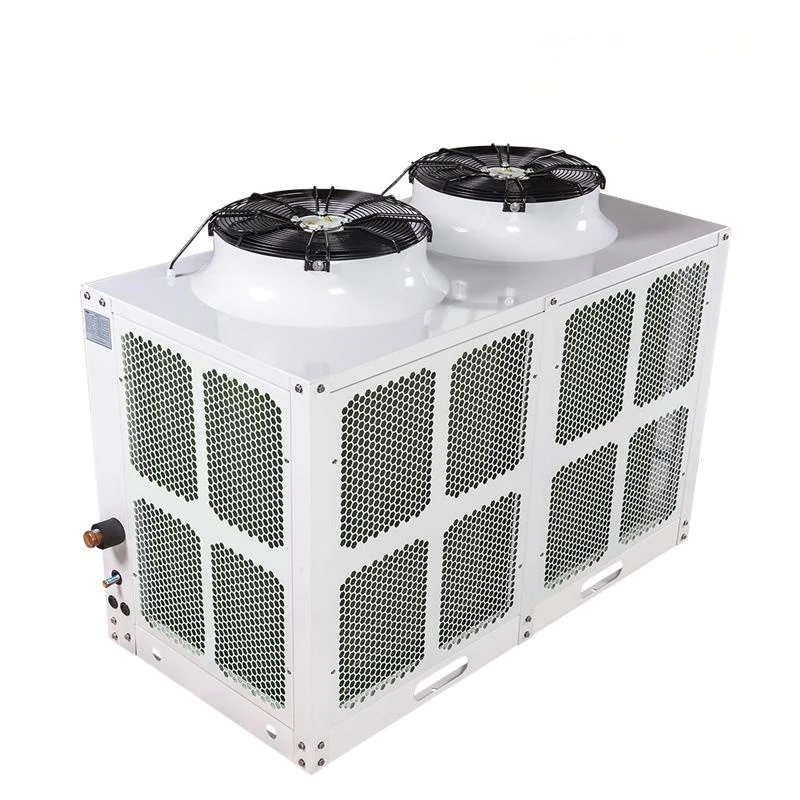 China Manufacture Low Noise U-Type Design Cold Room Refrigeration Condensing Unit for Frozen Storage
China Manufacture Low Noise U-Type Design Cold Room Refrigeration Condensing Unit for Frozen Storage