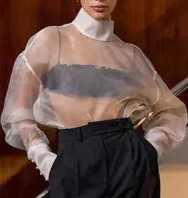 Sexy Perspective Mesh High End Long Sleeve Shirt Summer Women's Stand Up Collar Elegant Sexy Solid Color Perspective Chiffon Top
Sexy Perspective Mesh High End Long Sleeve Shirt Summer Women's Stand Up Collar Elegant Sexy Solid Color Perspective Chiffon Top