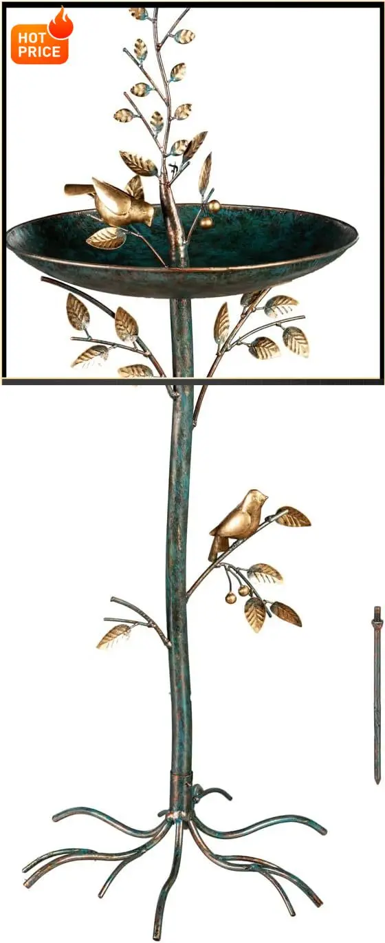 BestsellerEvergreen Cast Metal Outdoor Garden Bird Bath and Feeder on Pedestal | Birds on Leafy Branch | 37.5 inches Tall | Anti
BestsellerEvergreen Cast Metal Outdoor Garden Bird Bath and Feeder on Pedestal | Birds on Leafy Branch | 37.5 inches Tall | Anti