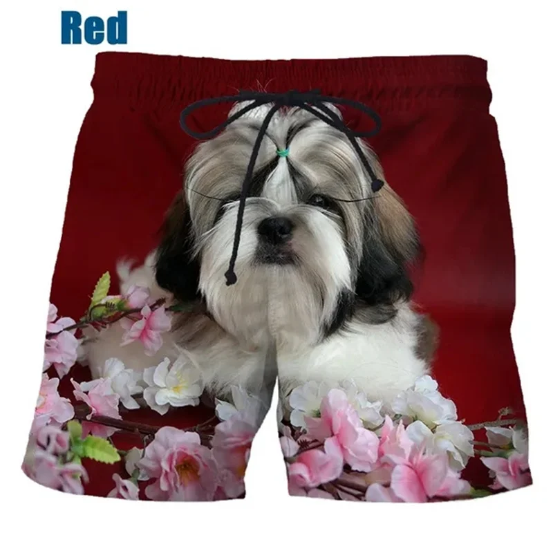 Забавные шорты Lhasa Apso для мужчин, летние пляжные короткие брюки, Пляжные штаны для Гавайского плавания, модные плавки для плавания, женские крутые ледяные шорты для детей
Забавные шорты Lhasa Apso для мужчин, летние пляжные короткие брюки, Пляжные штаны для Гавайского плавания, модные плавки для плавания, женские крутые ледяные шорты для детей