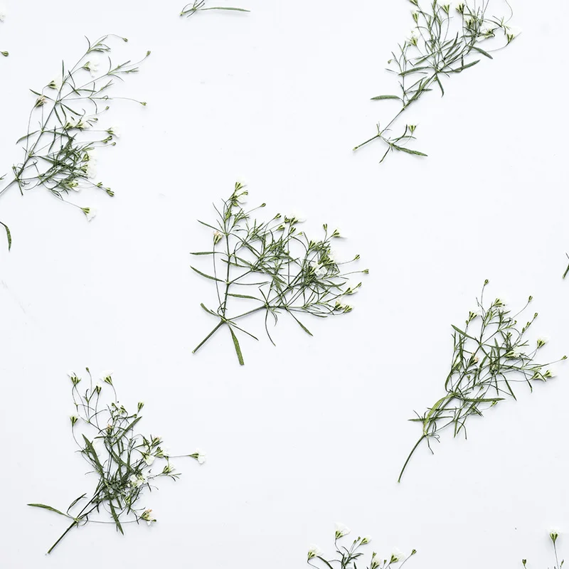 48Pcs Colorful Dried Gypsophila Flowers with Stems, Real Plant Leaves, Plant Specimens, Pressed Flowers, Phone Case Decorations, Bookmarks, Candle Decorations
48Pcs Colorful Dried Gypsophila Flowers with Stems, Real Plant Leaves, Plant Specimens, Pressed Flowers, Phone Case Decorations, Bookmarks, Candle Decorations