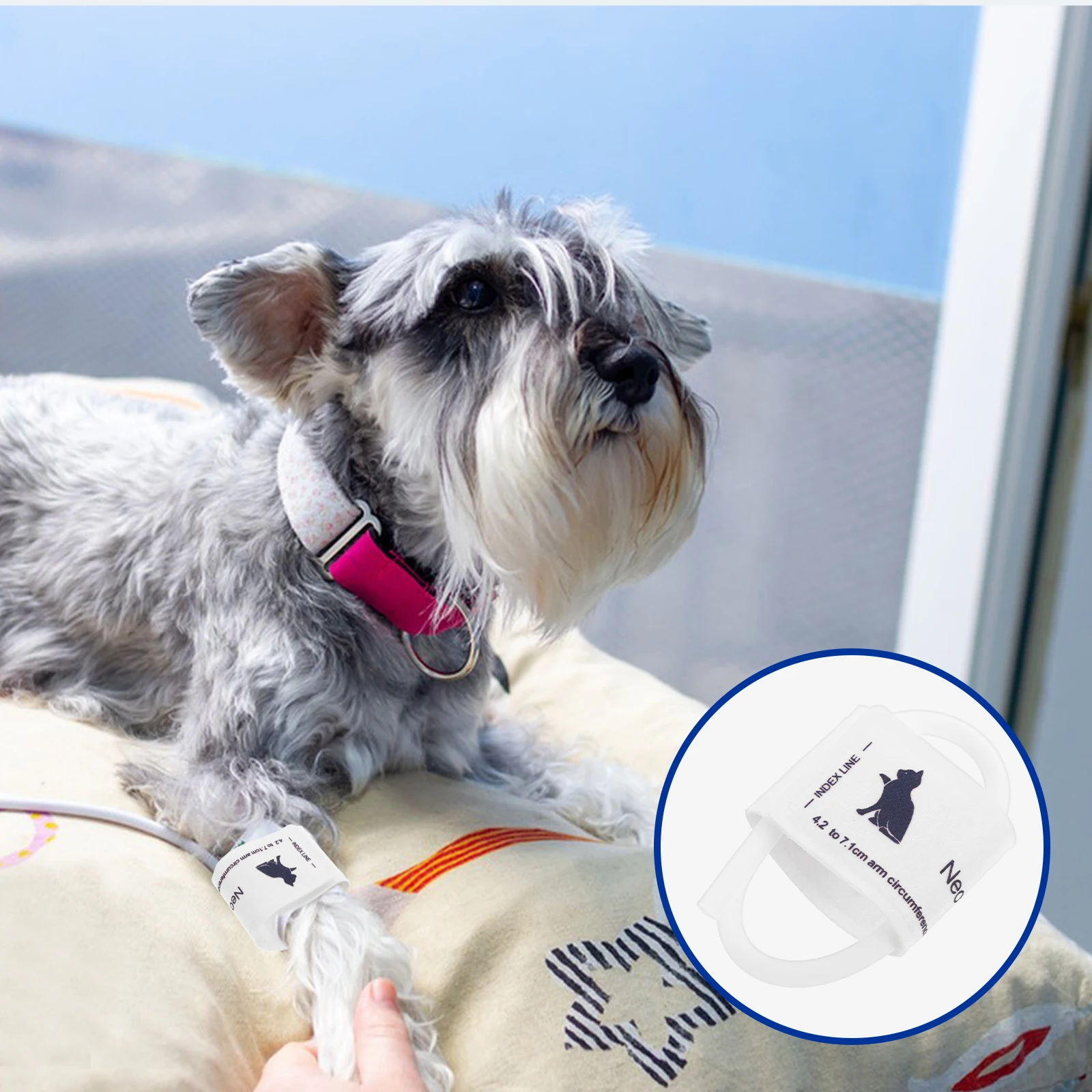 Pet Cuff Universal Dog Cat BP Reusable Non woven Fabric Vet Supplies Care Products
Pet Cuff Universal Dog Cat BP Reusable Non woven Fabric Vet Supplies Care Products