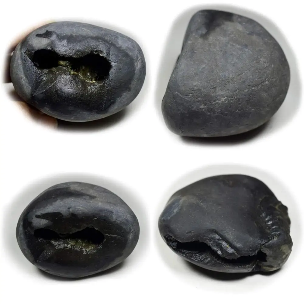 Оптовый высококачественный 55-каратный камень Lord Vishnu Shaligram Fossil Stone от River Gandaki, Nepal, класс A+, оригинальный Sacred Gemstone
Оптовый высококачественный 55-каратный камень Lord Vishnu Shaligram Fossil Stone от River Gandaki, Nepal, класс A+, оригинальный Sacred Gemstone