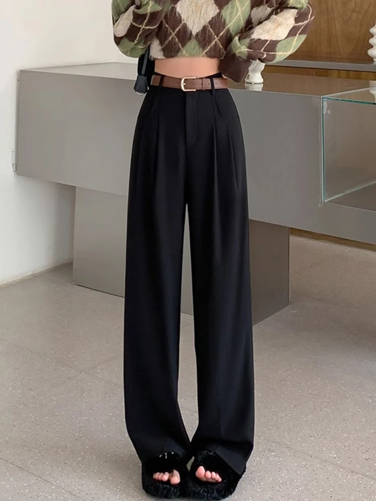 Black Women's High Waist Drapey Wide Leg Suit Pants Spring Autumn Casual Style High Fashion Sensation Straight Cut Long Trousers
Black Women's High Waist Drapey Wide Leg Suit Pants Spring Autumn Casual Style High Fashion Sensation Straight Cut Long Trousers