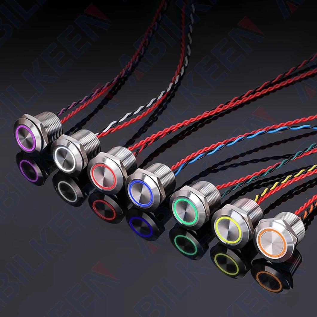 ABILKEEN PS16B-T10 16 мм коническая поверхность пьезоэлектрический переключатель 1НО мгновенный/фиксатор IP68 водонепроницаемый пьезопереключатель DC3 ~ 24 В 2A 
ABILKEEN PS16B-T10 16 мм коническая поверхность пьезоэлектрический переключатель 1НО мгновенный/фиксатор IP68 водонепроницаемый пьезопереключатель DC3 ~ 24 В 2A