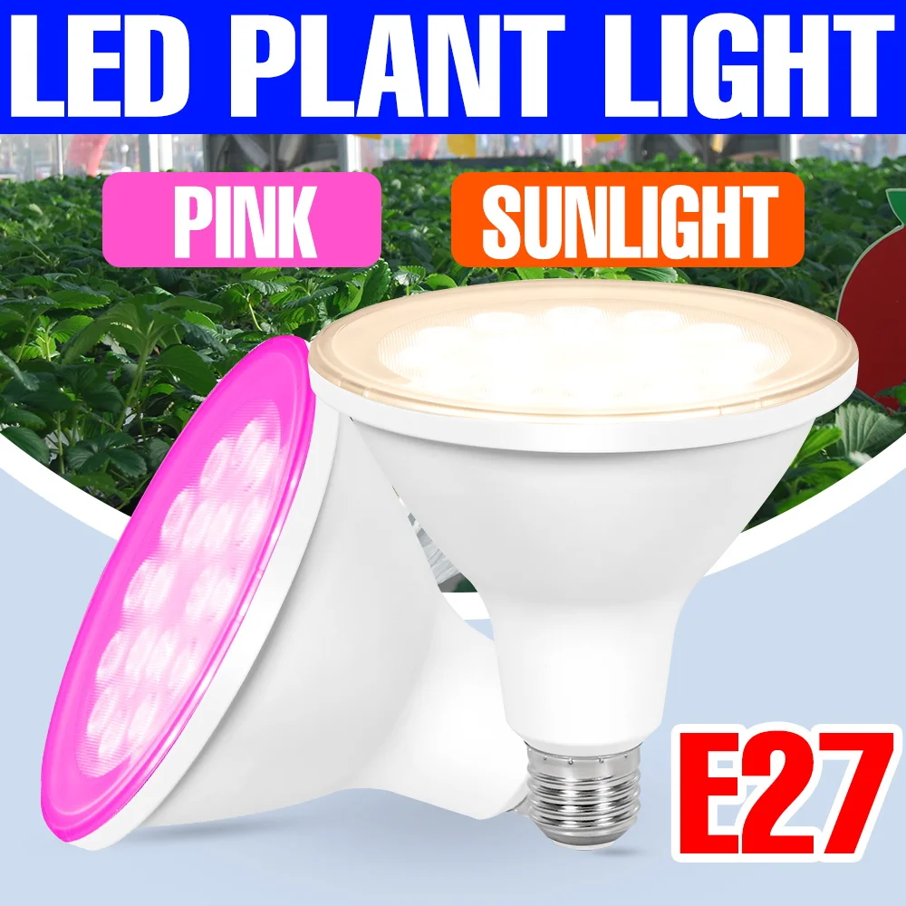 E27 LED Grow Light Full Spectrum Indoor Fruit Vegetables Plant Cultivation lamp Potted Sunlight Flower Fill Lighting AC100-277V
E27 LED Grow Light Full Spectrum Indoor Fruit Vegetables Plant Cultivation lamp Potted Sunlight Flower Fill Lighting AC100-277V