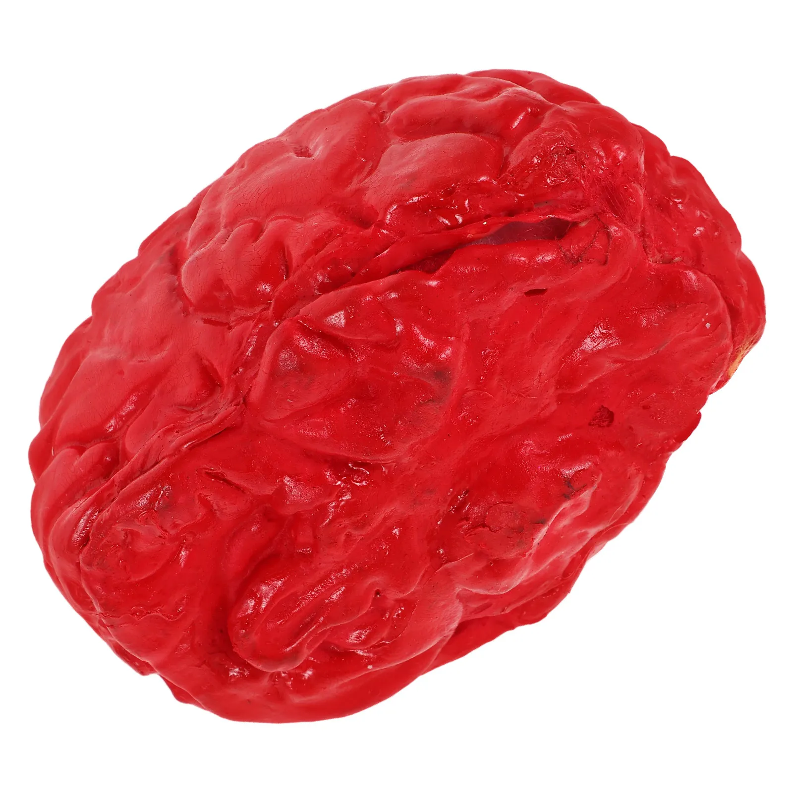 Realistic Halloween Fake Brain Prop Scary Haunted House Decoration Creepy Human Brain Party Supplies Spooky Halloween Brains
Realistic Halloween Fake Brain Prop Scary Haunted House Decoration Creepy Human Brain Party Supplies Spooky Halloween Brains