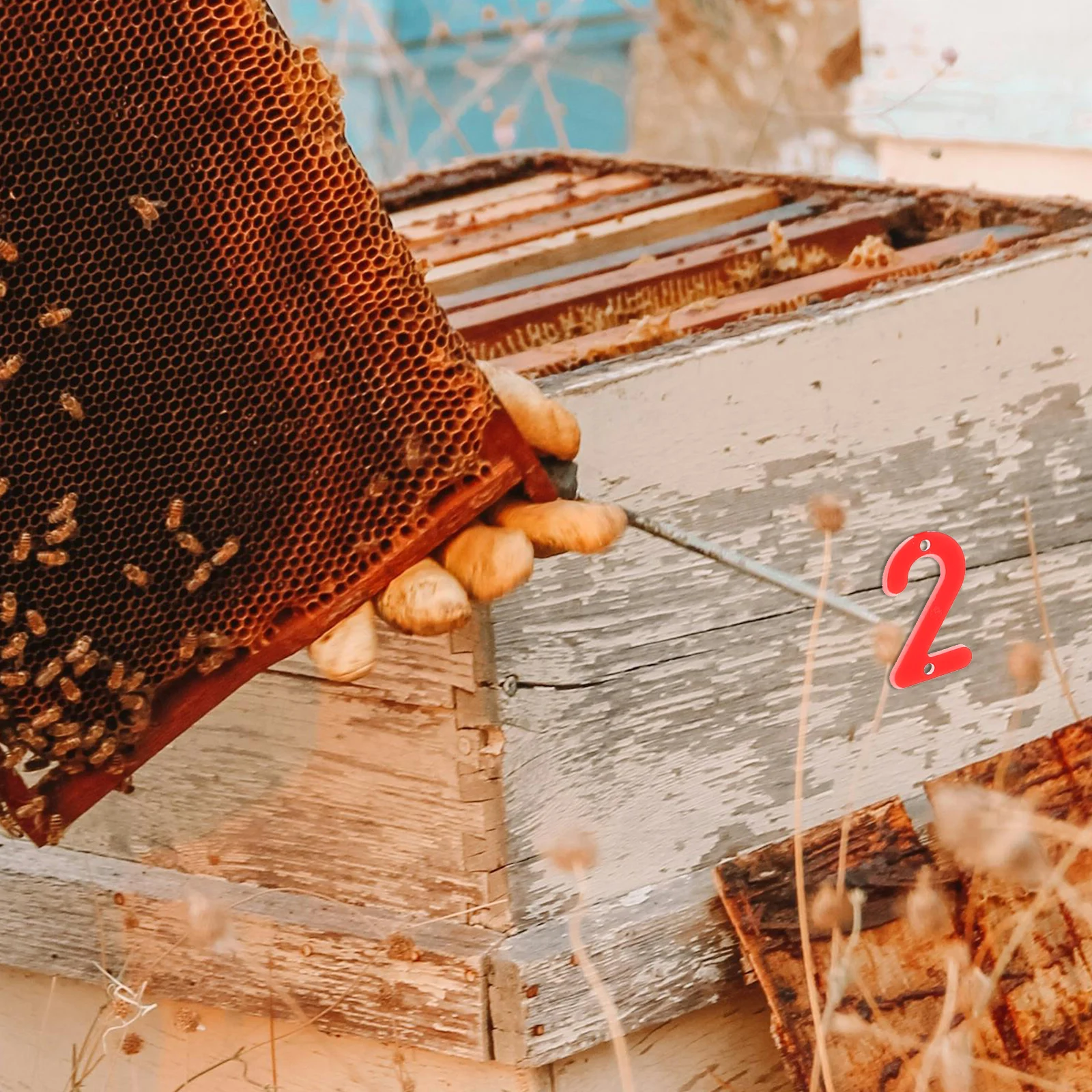 3 set Digital Marking Plates Plastic Beehive Numbers Lightweight Hive Identification Small Numbers Accessories Beekeeping Tools
3 set Digital Marking Plates Plastic Beehive Numbers Lightweight Hive Identification Small Numbers Accessories Beekeeping Tools