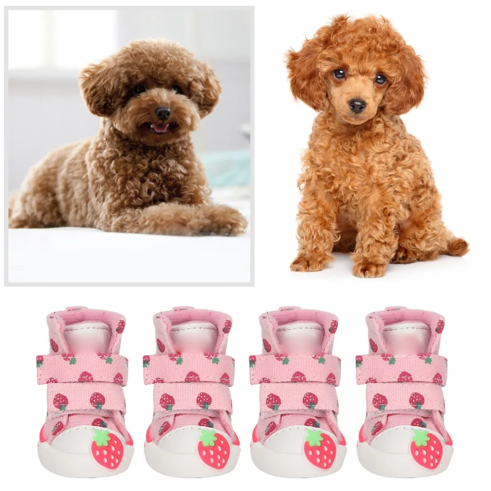 4 Pcs Teddy Canvas Pet Shoes Breathable Strawberry Pattern Dog Boots Soft Anti-slip Dog Shoes Outdoor
4 Pcs Teddy Canvas Pet Shoes Breathable Strawberry Pattern Dog Boots Soft Anti-slip Dog Shoes Outdoor