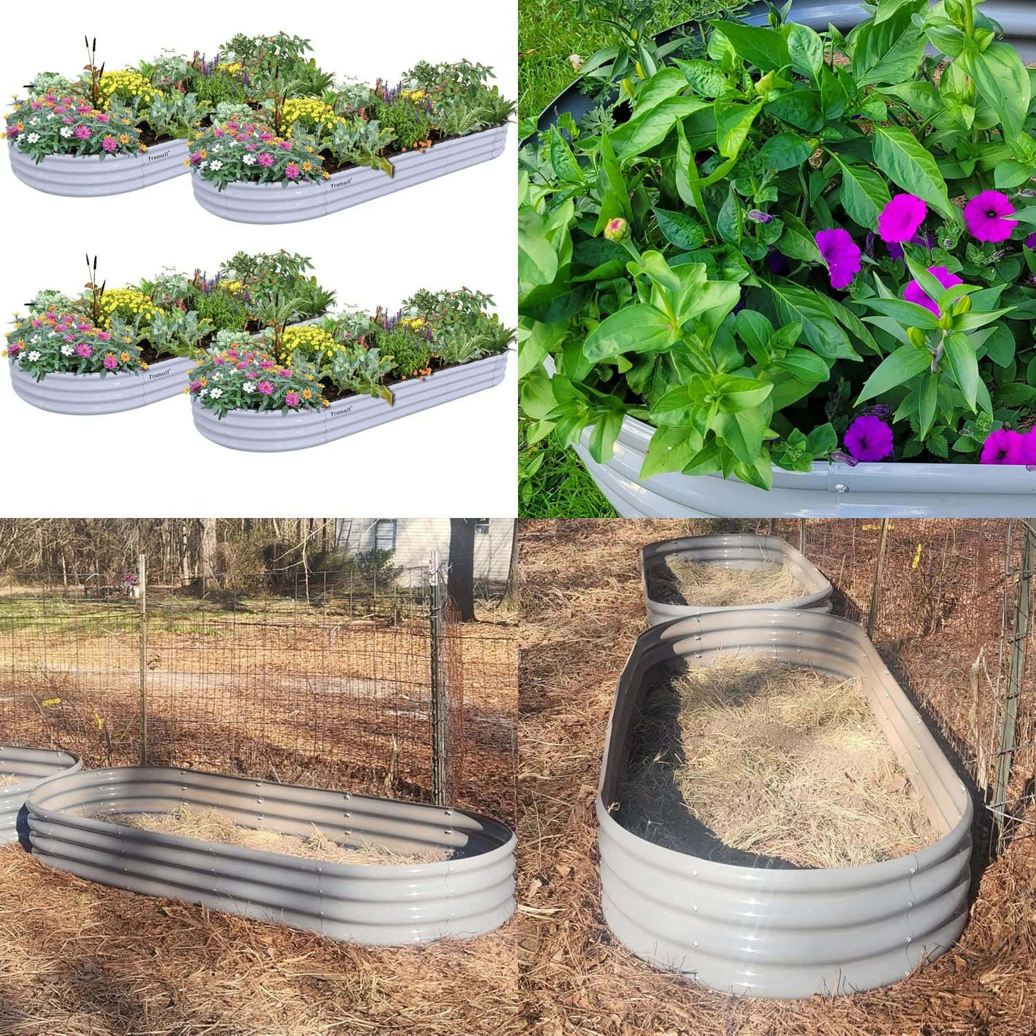 Galvanized Steel Raised Garden Bed 8x3x1ft Metal Planter Box Kit for Outdoor Vegetables Flowers, Customized
Galvanized Steel Raised Garden Bed 8x3x1ft Metal Planter Box Kit for Outdoor Vegetables Flowers, Customized