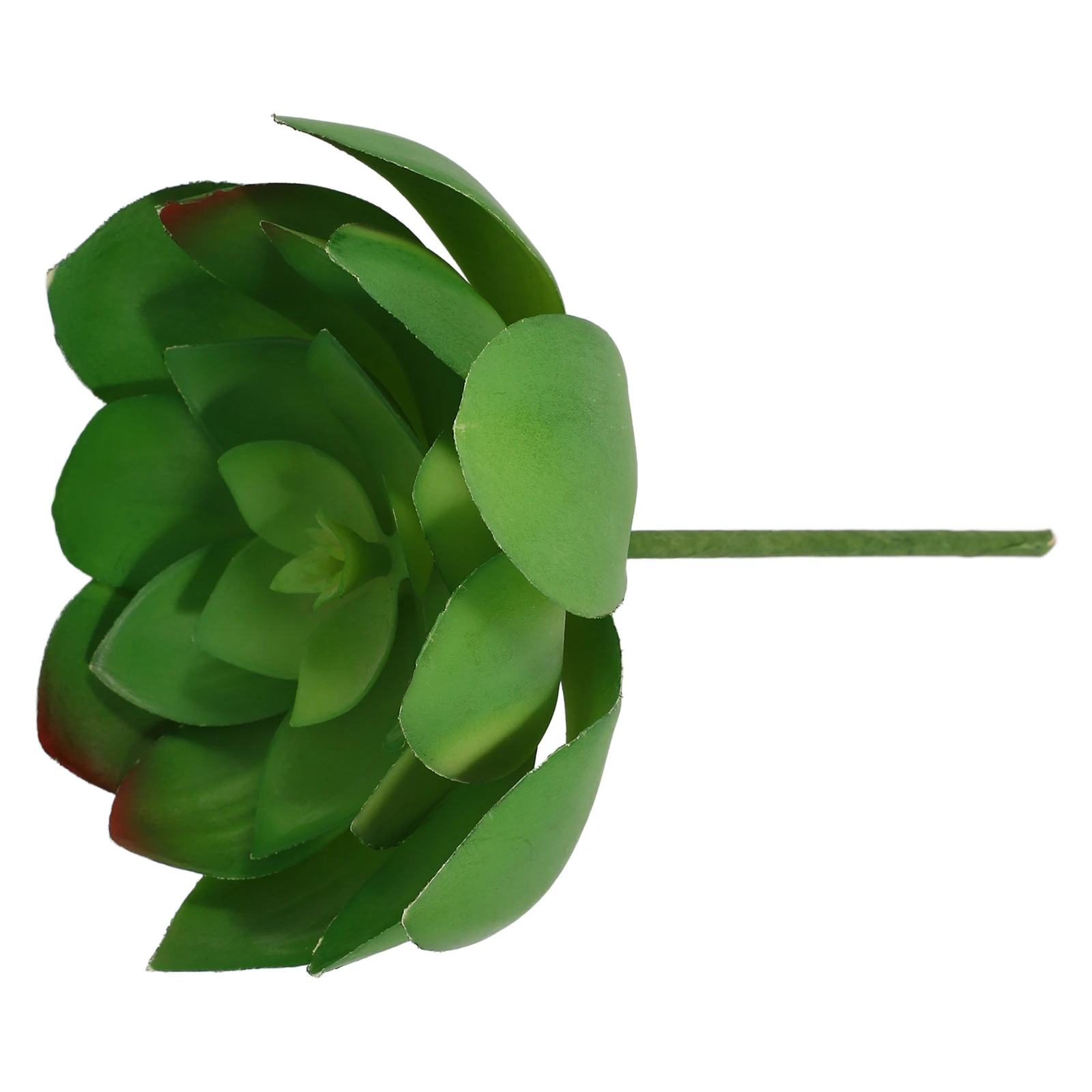 Artificial Succulent Plants Plastic Picks Background Wall Decor DIY Fake Arrangement SucculentsSucculentDecorations
Artificial Succulent Plants Plastic Picks Background Wall Decor DIY Fake Arrangement SucculentsSucculentDecorations