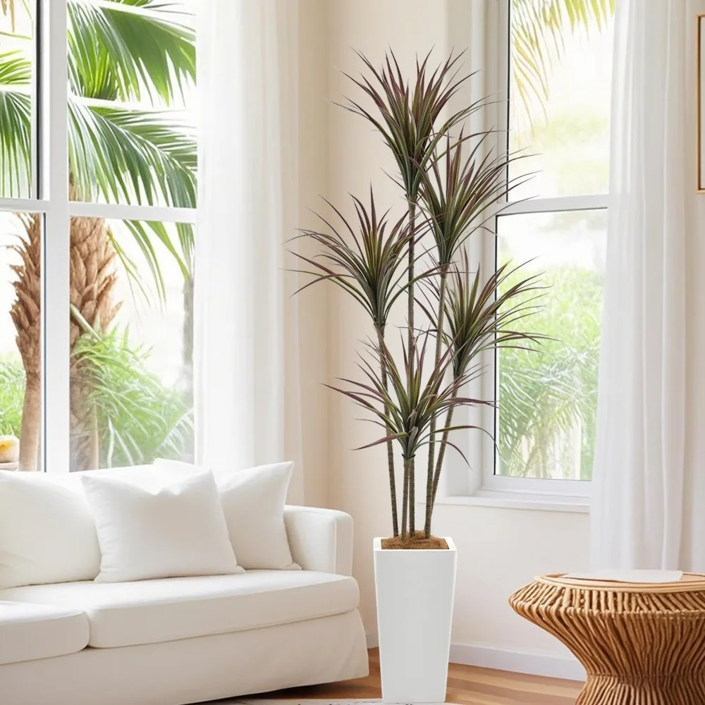 Artificial Dragon Blood Tree 6FT (71 Inches) Tall False Silk Orchid Tree with Realistic Leaves and White Flower Pots
Artificial Dragon Blood Tree 6FT (71 Inches) Tall False Silk Orchid Tree with Realistic Leaves and White Flower Pots