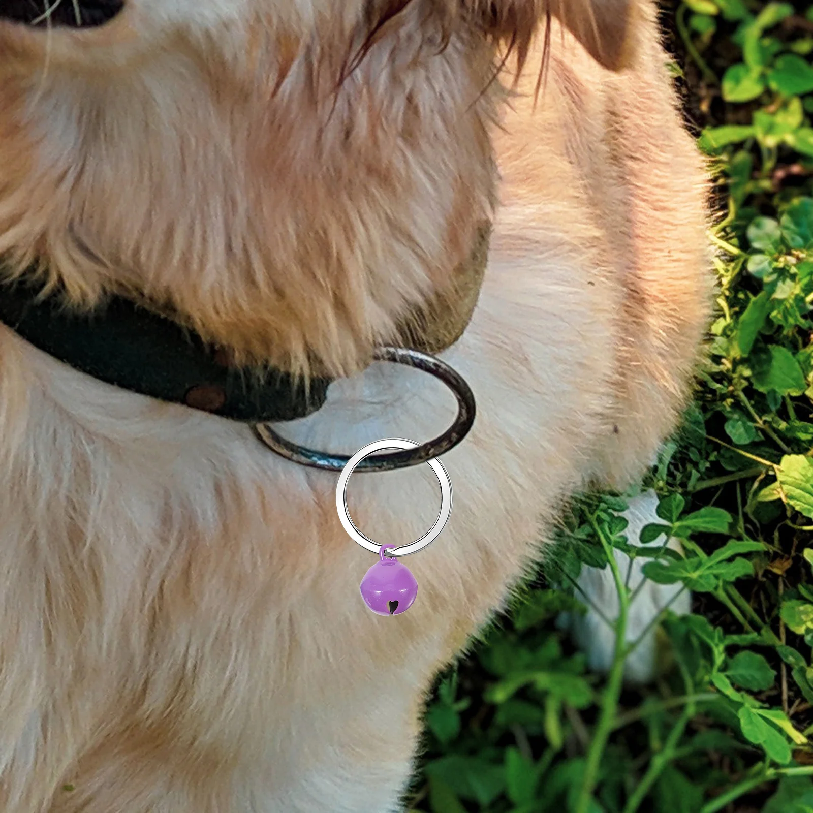 60Pcs Colorful Bells for Pets Hanging Cat Dog Collar Bells Decorative Craft DIY Keychain Small Bell Pendant Party Wedding Decor
60Pcs Colorful Bells for Pets Hanging Cat Dog Collar Bells Decorative Craft DIY Keychain Small Bell Pendant Party Wedding Decor