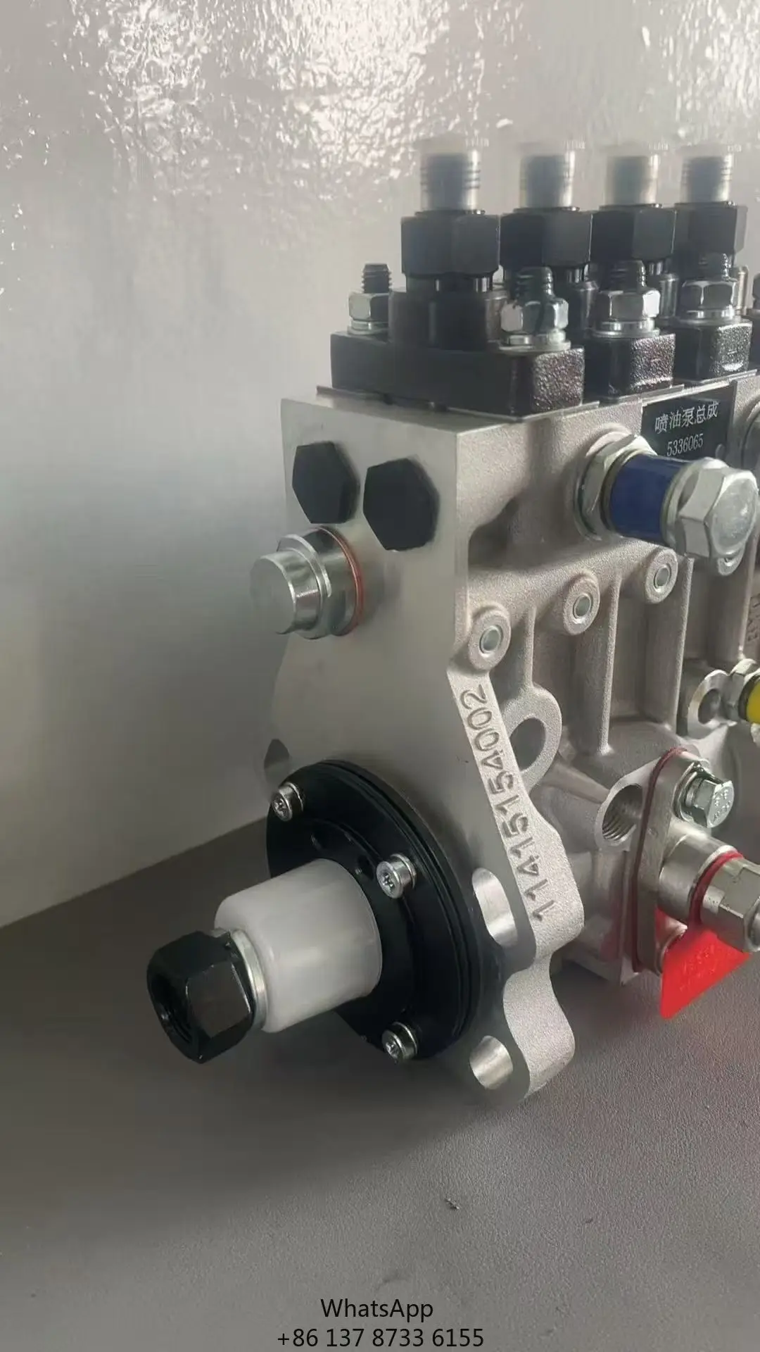 High-pressure Vehicle Engine Injection Pump 5336065
High-pressure Vehicle Engine Injection Pump 5336065