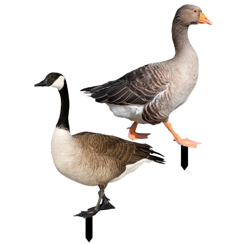 2 Pcs Duck Acrylic Stake Decorations for Garden Yard Outdoor Courtyard Lightweight Compact Animal Statue Lawn Ornament
2 Pcs Duck Acrylic Stake Decorations for Garden Yard Outdoor Courtyard Lightweight Compact Animal Statue Lawn Ornament