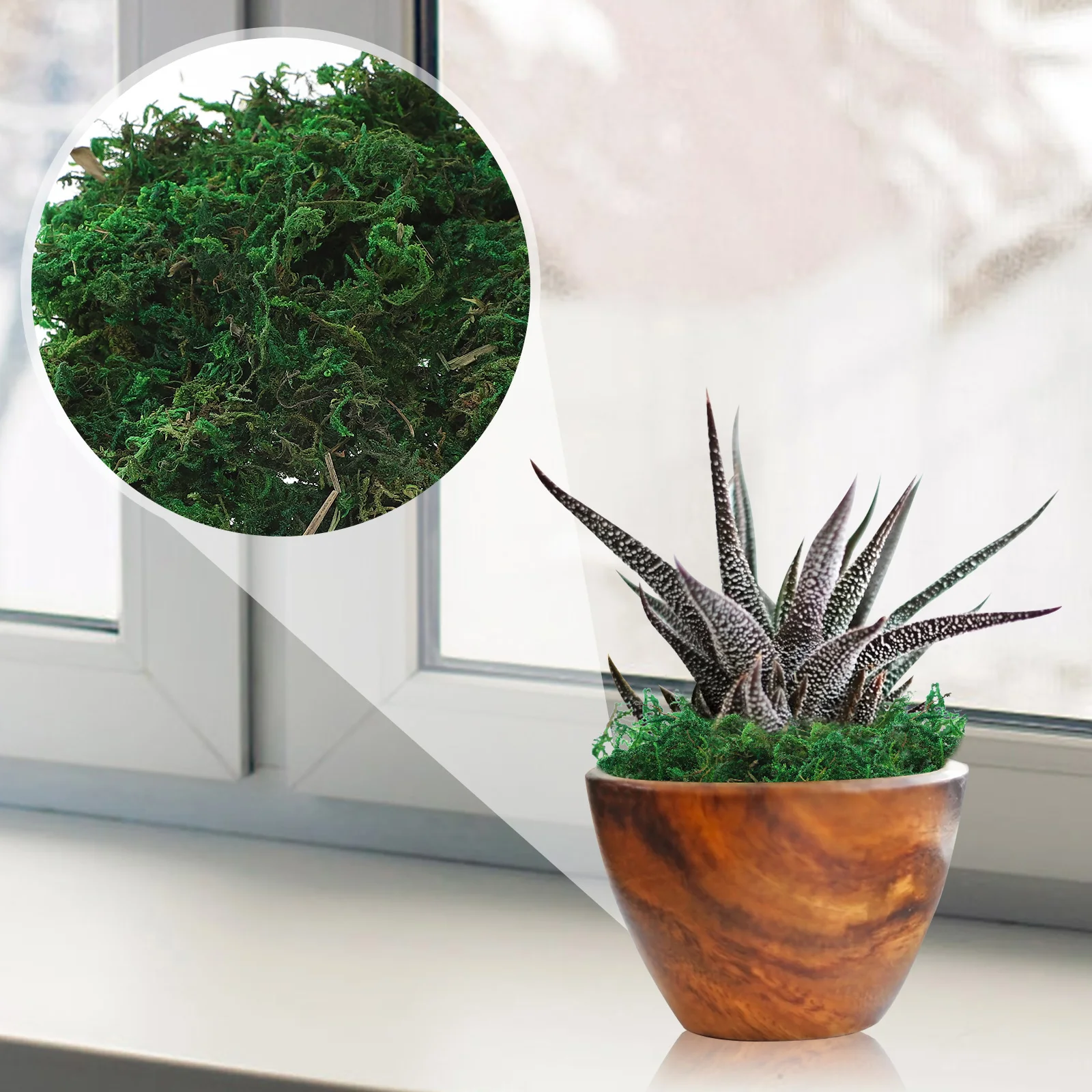 Artificial Plants Green Mini Plastic for Indoor Outdoor Faux Moss Fake House Plants Bonsai Landscaping Scenery Model Decor
Artificial Plants Green Mini Plastic for Indoor Outdoor Faux Moss Fake House Plants Bonsai Landscaping Scenery Model Decor