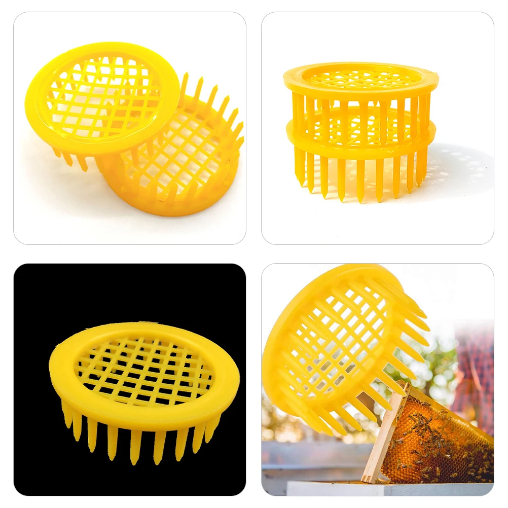 10 Cages Safe Use Beekeeping Tools Rearing Boxes Breeding Equipment Plastic Hive Cells Isolation Cage Bee Breeding
10 Cages Safe Use Beekeeping Tools Rearing Boxes Breeding Equipment Plastic Hive Cells Isolation Cage Bee Breeding