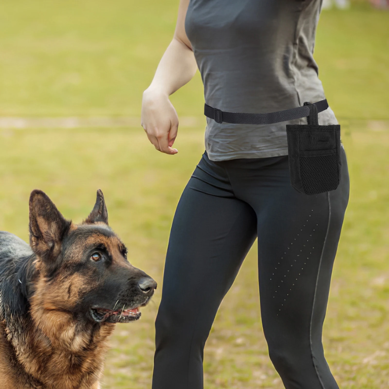 Portable Dog Snack Bag Large Capacity Pet Food Holder Treat Bags Durable Cloth Stainless Steel Outdoor Training Pouch With Hook
Portable Dog Snack Bag Large Capacity Pet Food Holder Treat Bags Durable Cloth Stainless Steel Outdoor Training Pouch With Hook