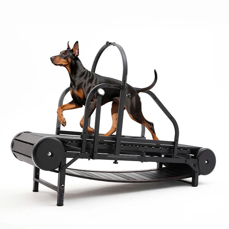 Best Sellers Pet Dog Treadmill for Large Dogs Canine Running Machine for Pet Health Fitness Running Exercise Equipment Slatmill
Best Sellers Pet Dog Treadmill for Large Dogs Canine Running Machine for Pet Health Fitness Running Exercise Equipment Slatmill