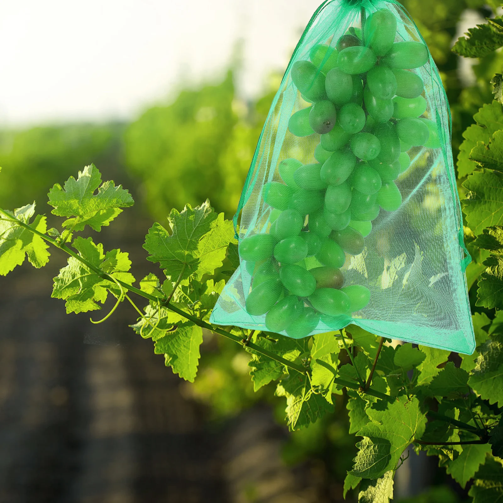 50pcs Fruit Mesh Bag Garden Netting Barrier With Drawstring For Fruits Vegetables Protection Durable Organza Material
50pcs Fruit Mesh Bag Garden Netting Barrier With Drawstring For Fruits Vegetables Protection Durable Organza Material