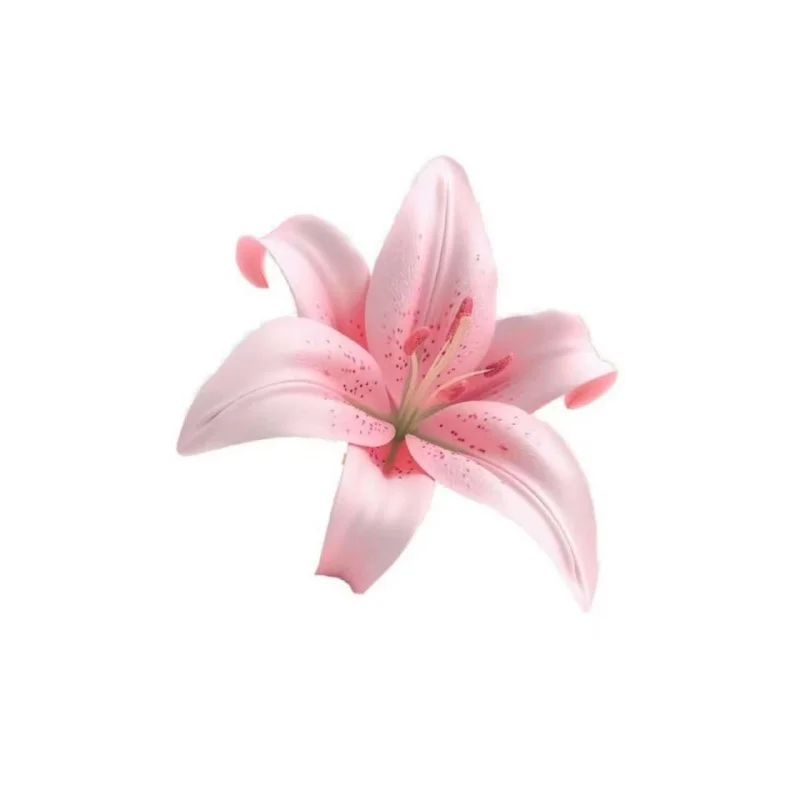 ERIKC Control Valve F00VC01053 Excavator Injector Control Valve F 00V C01 053 Pressure Safety Valve for 0445110240
ERIKC Control Valve F00VC01053 Excavator Injector Control Valve F 00V C01 053 Pressure Safety Valve for 0445110240