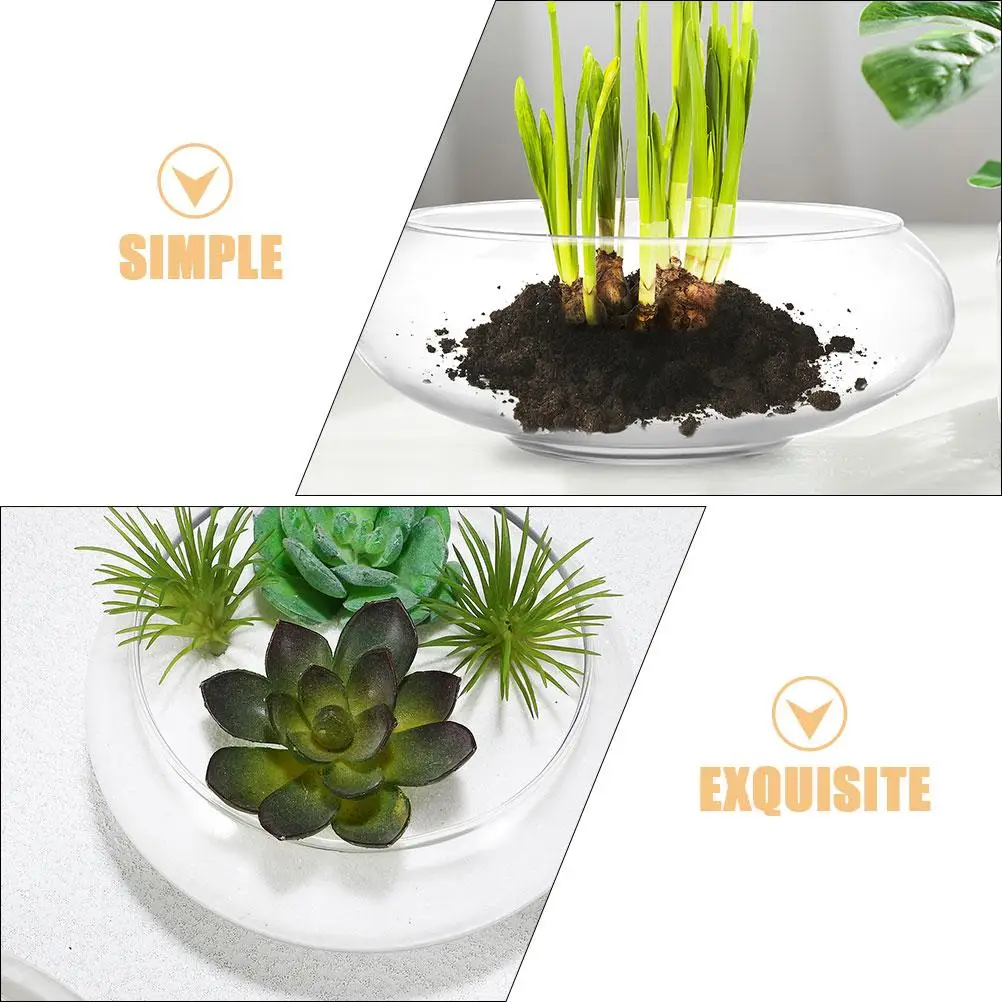 Daffodil Pot Glass Fish Bowls Planter Decorations Flower Small Clear Wide Office
Daffodil Pot Glass Fish Bowls Planter Decorations Flower Small Clear Wide Office