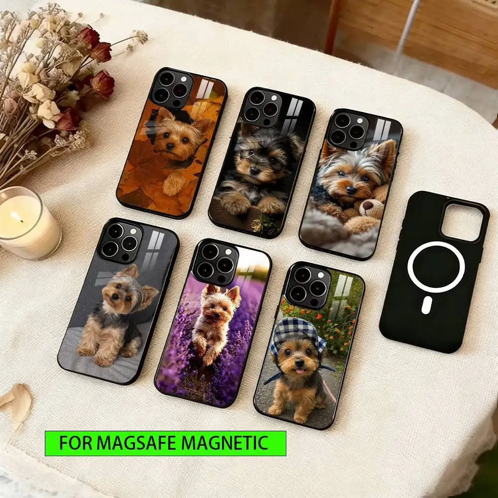 Yorkshire Terrier Dog Phone Case For iPhone17,16,15,14,13,12,11 Plus,Pro Magnetic For Magsafe Wireless Charging
Yorkshire Terrier Dog Phone Case For iPhone17,16,15,14,13,12,11 Plus,Pro Magnetic For Magsafe Wireless Charging