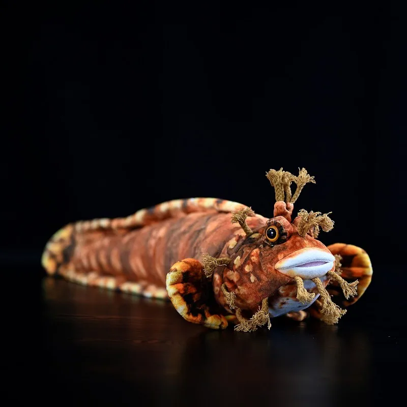 Japanese Lepidosiren Plush Toy Missy Fish Doll Monkey-faced Lepidosiren Figurine Lifelike Animals Doll Kawaii Toy Gifts
Japanese Lepidosiren Plush Toy Missy Fish Doll Monkey-faced Lepidosiren Figurine Lifelike Animals Doll Kawaii Toy Gifts
