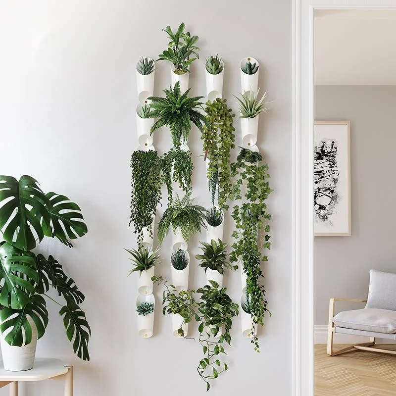 Recommended Domestic Plant Display Living Area Wall-Mounted Botanical Holder Simple INS Style Succulent Frame
Recommended Domestic Plant Display Living Area Wall-Mounted Botanical Holder Simple INS Style Succulent Frame