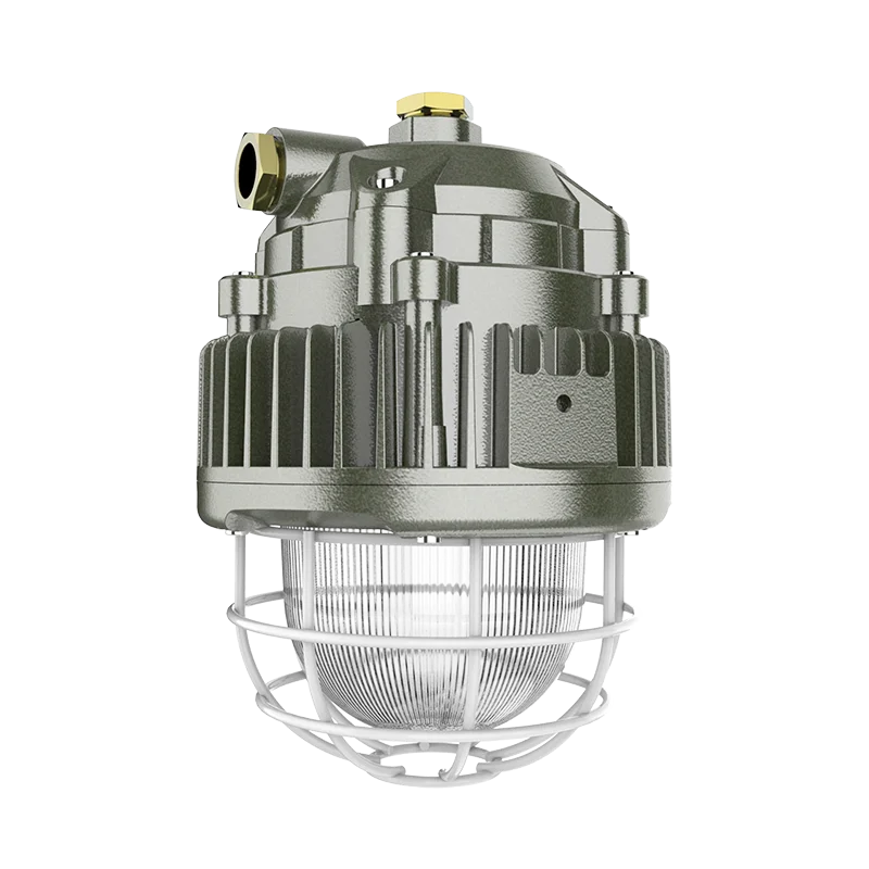 ATEX Explosion Proof Hanging Lamp (Long) With Guard 50W 5700K
ATEX Explosion Proof Hanging Lamp (Long) With Guard 50W 5700K