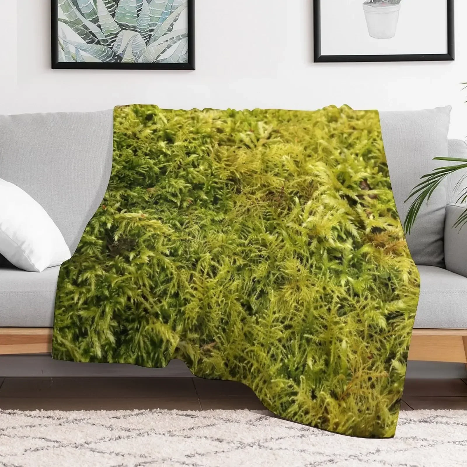 Green Moss Texture Throw Blanket Luxury Thicken Quilt Blankets warm winter halloween Blankets
Green Moss Texture Throw Blanket Luxury Thicken Quilt Blankets warm winter halloween Blankets