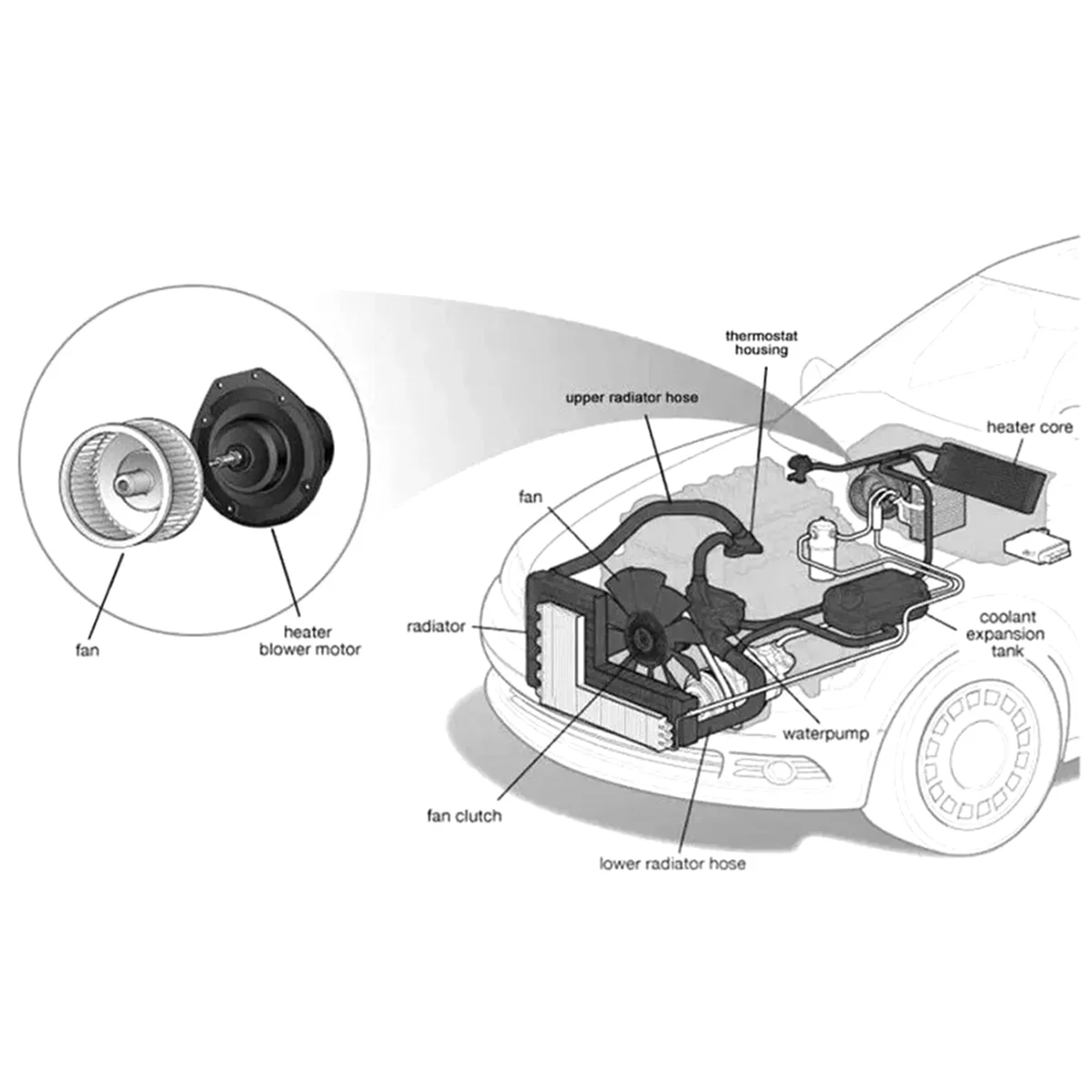 Air Conditioning A/C Heat Blower Motor Fan for Toyota Corolla RAV4 Matrix Scion TC XB Pontiac Vibe 1.8L 87103-02200JKL
Air Conditioning A/C Heat Blower Motor Fan for Toyota Corolla RAV4 Matrix Scion TC XB Pontiac Vibe 1.8L 87103-02200JKL