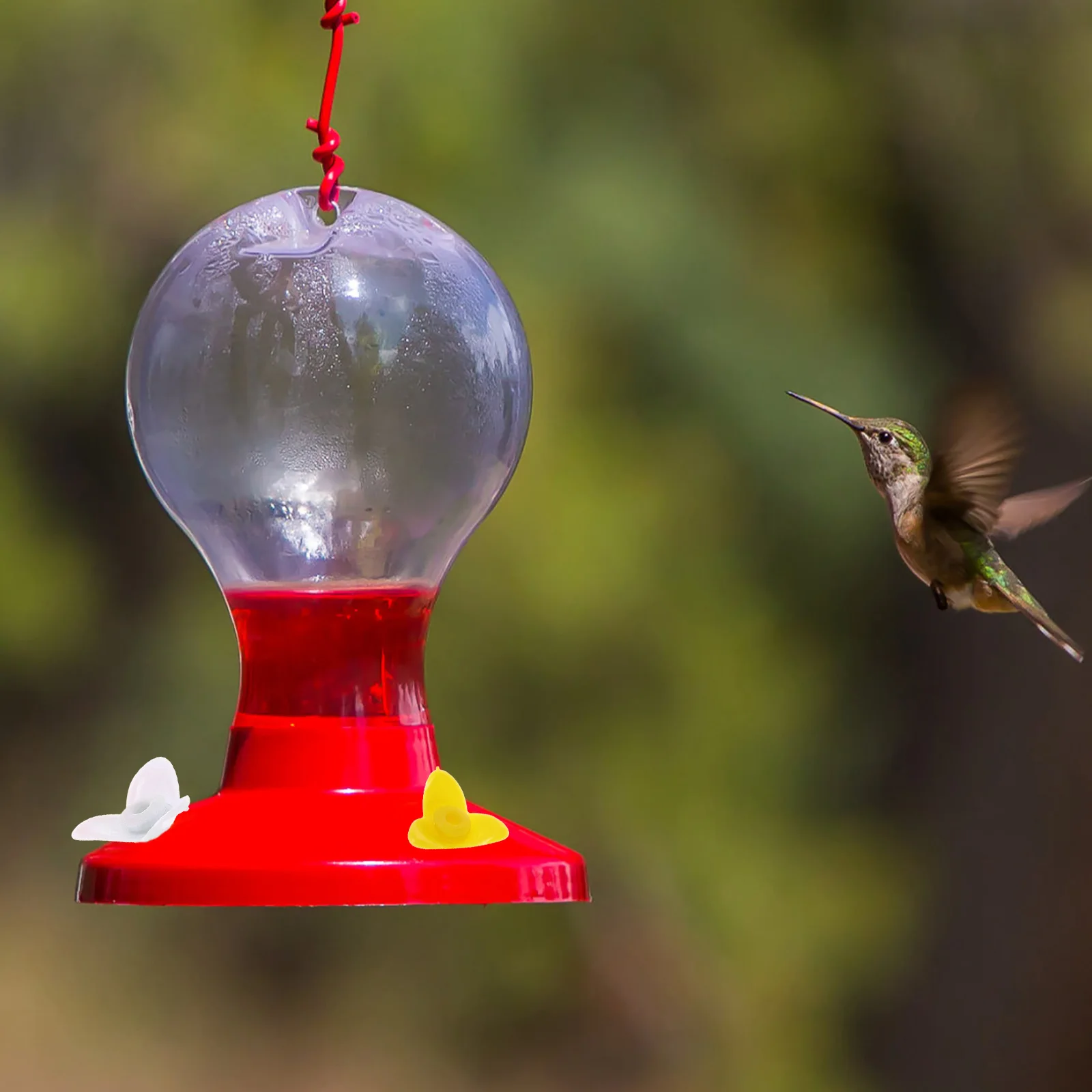 15 Pcs Bird Feeder Flowers Cute Feeders for Outdoors Wild Hummingbird Garden Bee Water Small Birds
15 Pcs Bird Feeder Flowers Cute Feeders for Outdoors Wild Hummingbird Garden Bee Water Small Birds