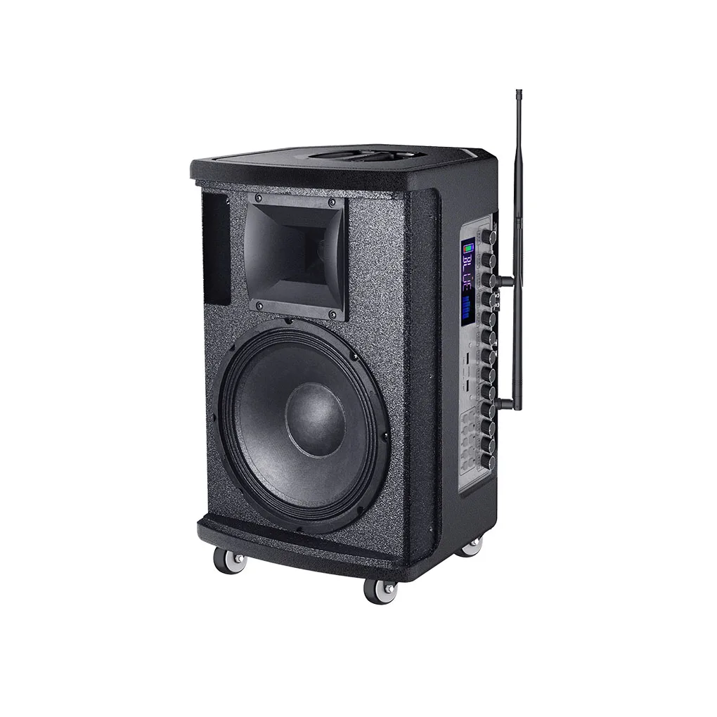 T Профессиональный 10-дюймовый беспроводной Bluetooth Altavoz De Audio Activo Профессиональный портативный динамик для вечеринок
T Профессиональный 10-дюймовый беспроводной Bluetooth Altavoz De Audio Activo Профессиональный портативный динамик для вечеринок