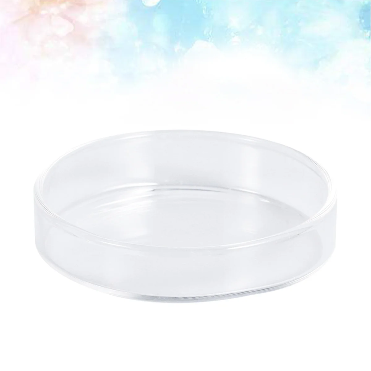 1Pcs Clear Glass Shrimp Feed Dish Multipurpose Feeding Basin for Aquariums Lizards Spiders Size 8 Shrimp Food Round Dishes
1Pcs Clear Glass Shrimp Feed Dish Multipurpose Feeding Basin for Aquariums Lizards Spiders Size 8 Shrimp Food Round Dishes