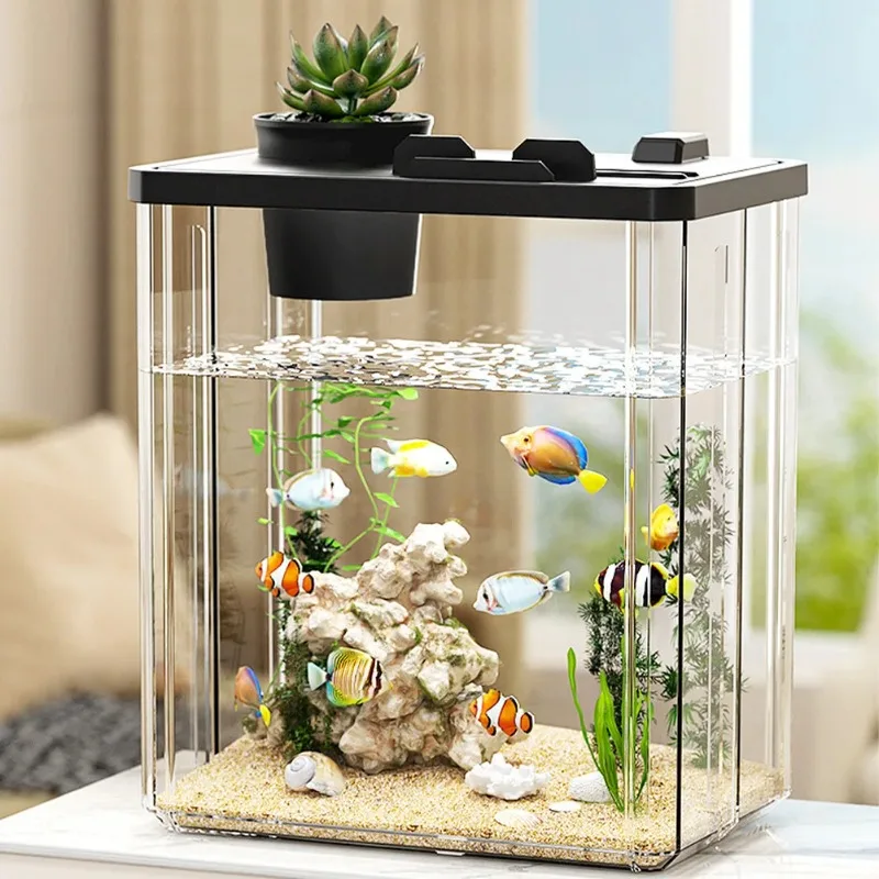Mini Fish Tank Aquarium Starter Desktop Rectangular Fish Tank With Pump Water Plants Fish Bowl Tabletop Box Hatching Incubator
Mini Fish Tank Aquarium Starter Desktop Rectangular Fish Tank With Pump Water Plants Fish Bowl Tabletop Box Hatching Incubator