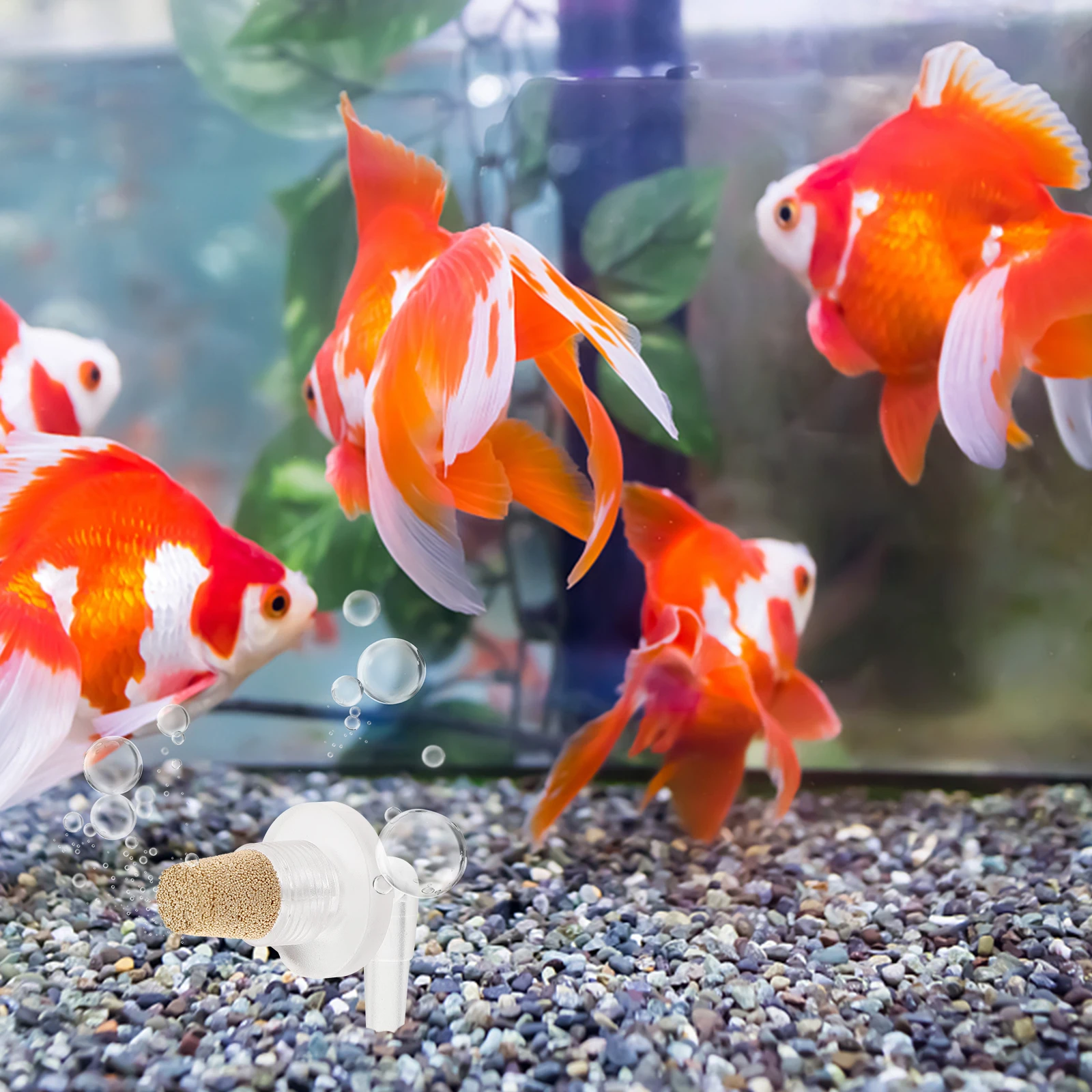 10pcs Bubble Stone Air Diffuser Bubbler for Fish Tank Aquarium Uniform Small Dense Bubbles Oxygenating Pet Supplies
10pcs Bubble Stone Air Diffuser Bubbler for Fish Tank Aquarium Uniform Small Dense Bubbles Oxygenating Pet Supplies