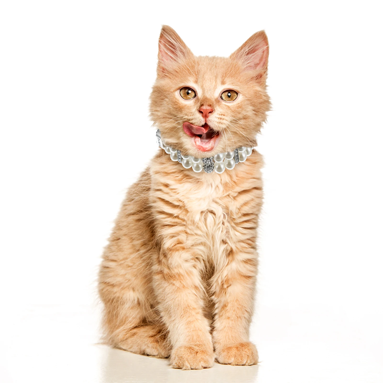 Dog Pearl Collar Pet Pearls Necklace Adjustable Size Flexible Straps Summer Jewelry Cat Pearls Necklace Pet Collar Leash
Dog Pearl Collar Pet Pearls Necklace Adjustable Size Flexible Straps Summer Jewelry Cat Pearls Necklace Pet Collar Leash