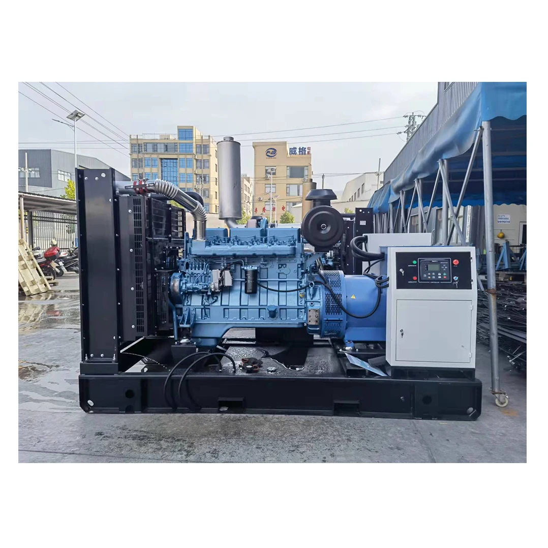 Customized Power 300kva 300kw Open Frame Diesel Generator 350 Kva Price In Saudi Arabia 315 Kva
Customized Power 300kva 300kw Open Frame Diesel Generator 350 Kva Price In Saudi Arabia 315 Kva